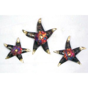 PMA-120    Mini Star Fish Large 7″, Medium 6″, Small 5″